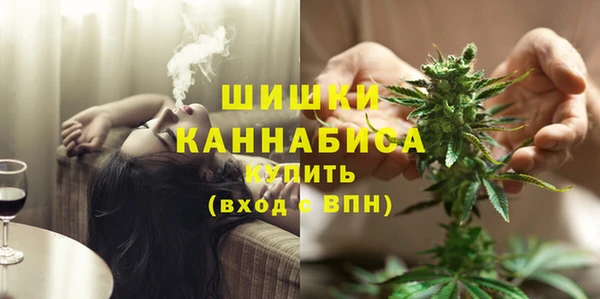 ГАЛЛЮЦИНОГЕННЫЕ ГРИБЫ Нея
