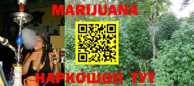spice Кандалакша