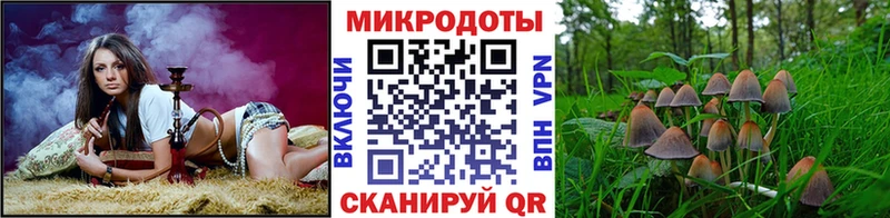 где купить наркоту  Протвино  Псилоцибиновые грибы Magic Shrooms 